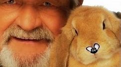 Zanger Henkie van ‘Lief klein konijntje’ overleden op 77-jarige leeftijd
