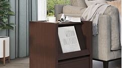 Dine Modern Walnut 18-inch 1-Shelf Side Table by Furniture of America - Bed Bath & Beyond - 11960851
