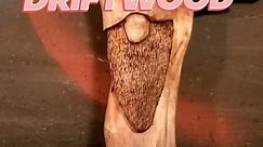 Easy Step-by-Step Wood Carving Guide