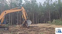 We are clearing trees for 2024... - Wilhelm Site Services LLC