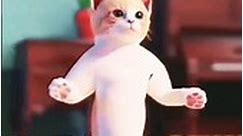 Meo meo let's dance viral shorts video 🥰🤫😂 #catlover #cat #funnycats #ytshorts #cute #shorts