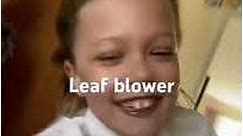 Leaf blower