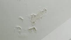 Pan Over Wet Damped Ceiling Wall Stock Footage Video (100% Royalty-free) 1065490207 | Shutterstock