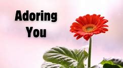 Adoring You: A Romantic Love Poem for special someone | @AmourQuotable