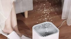 Air Purifier for Home HEPA Filter Air Cleaner 4 Speed Control 23dB Sleep Mode Second-Hand Smoke Removal Pollen & Dust Air Freshener for Large Room Office Kitchen Bedroom Bathroom，AP-2088 Air Purifiers