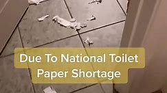 Due to National Toilet Paper Shortage #puppy #puppies #dog #dogs #toilet #toiletpaper #yellowlab #labrador #labradorretriever #labs #milliethelab #nationalshortage | Rowell Tidoso McIntosh