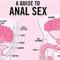Cock Anal Sex