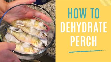 Fish Dehydration