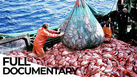 Overfishing Crisis