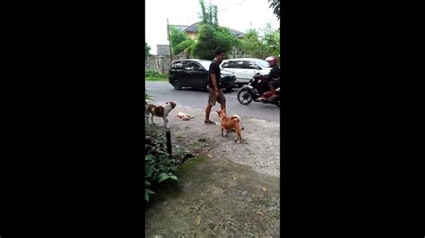 ᐉ Vidio sek cewek dengan anjing ✦ Pemerkosaan Barat Anak 10 